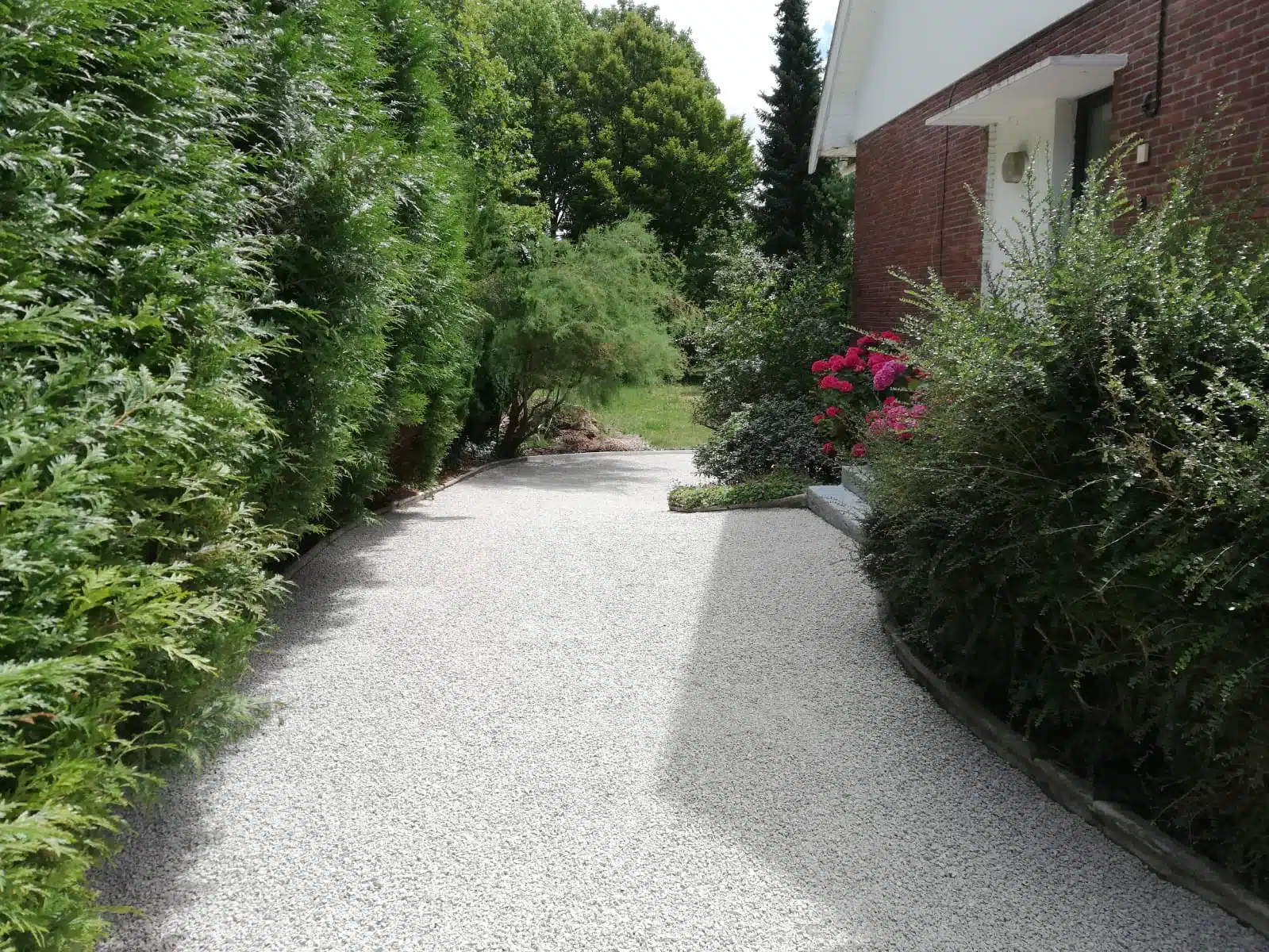 image (14)